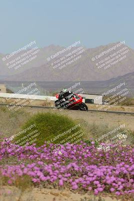 media/Feb-04-2023-SoCal Trackdays (Sat) [[8a776bf2c3]]/Turn 15 Inside Blooming (1050am)/